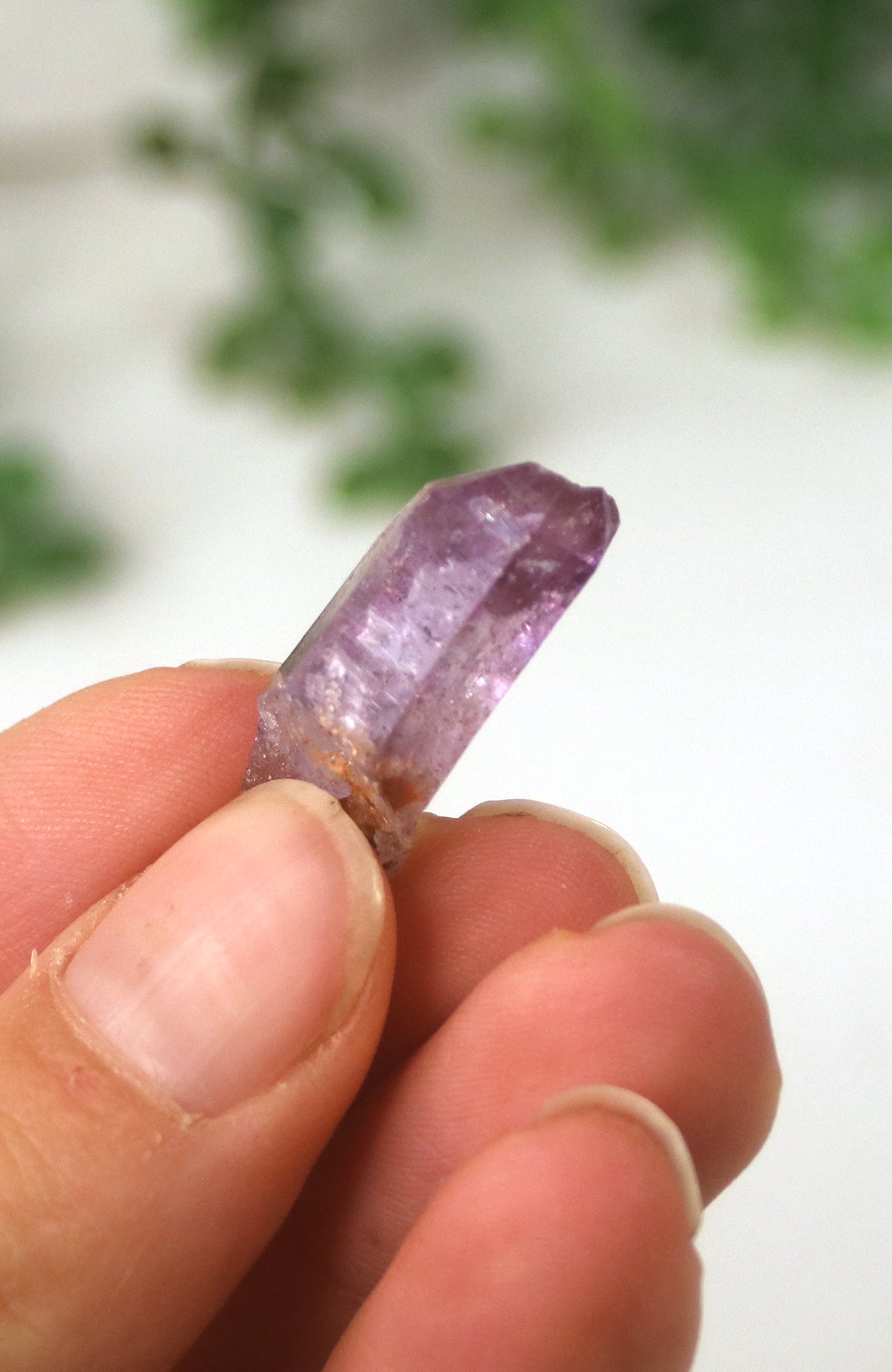 Chiredzi Amethyst Specimens